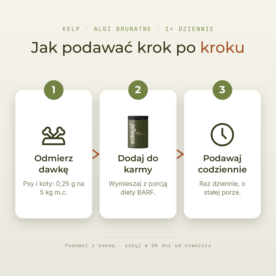 Kelp · algi brunatne — zdjęcie 6