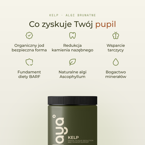 Korzyści Kelp