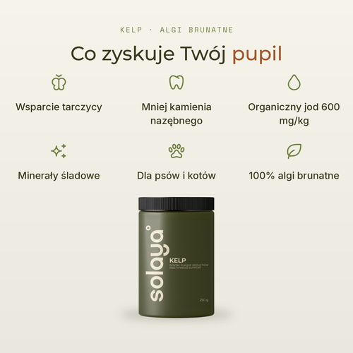 SOLAYA kelp_korzysci