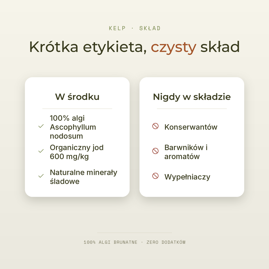 Kelp · algi brunatne — zdjęcie 7