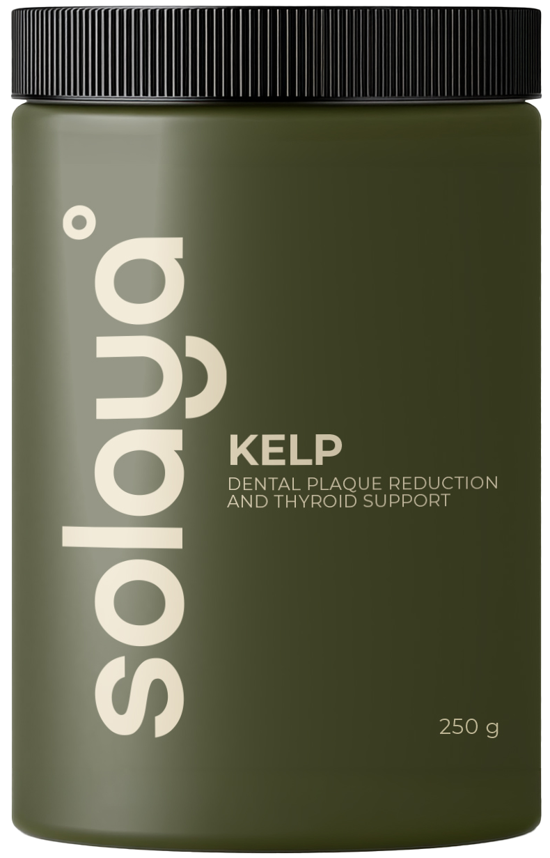 Kelp · algi brunatne