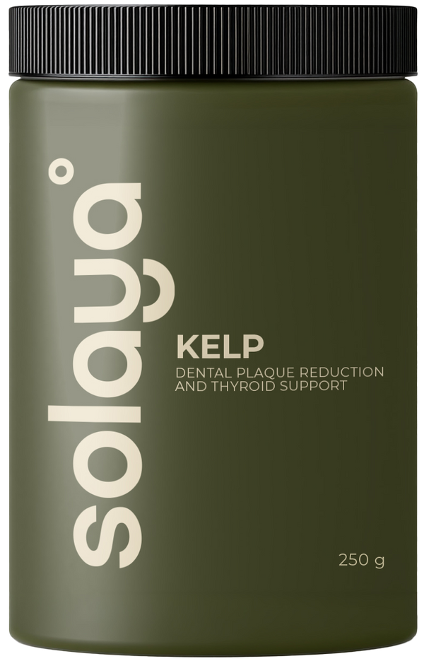 Kelp · algi brunatne