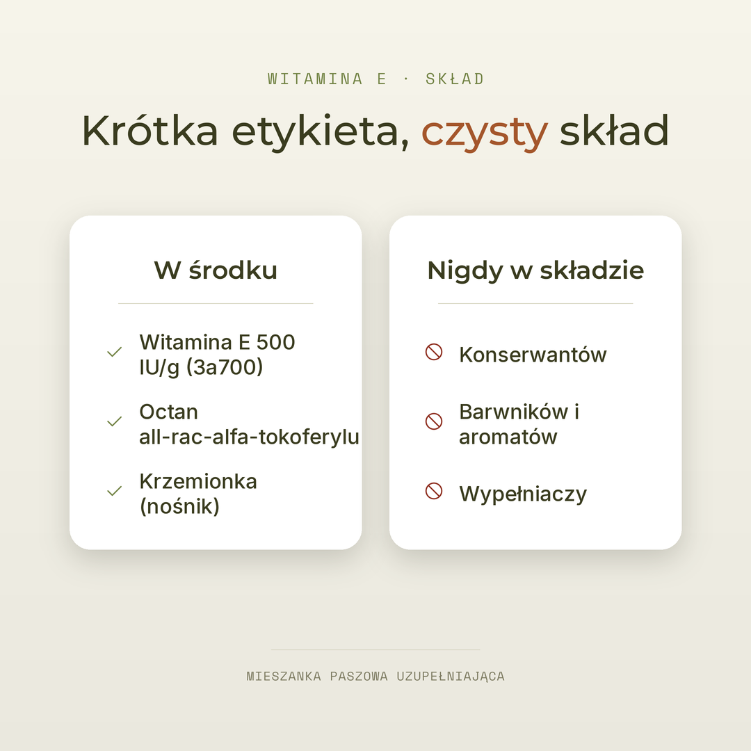 Witamina E — zdjęcie 4